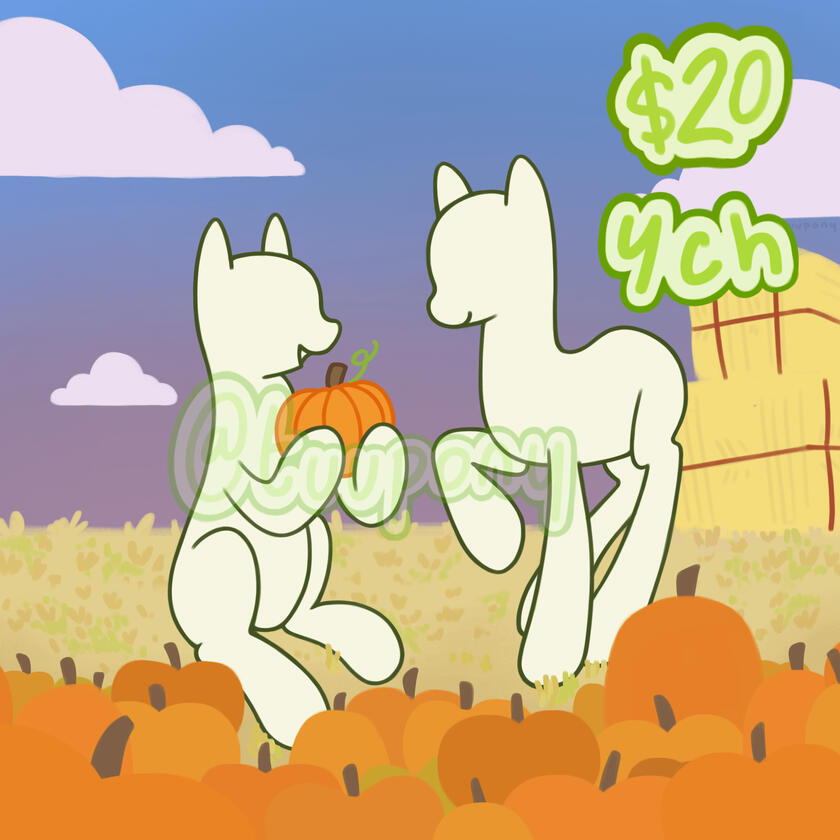 pumpkin patch date YCH